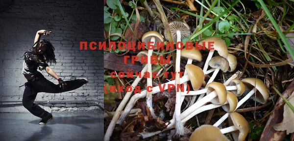 Альфа ПВП Строитель