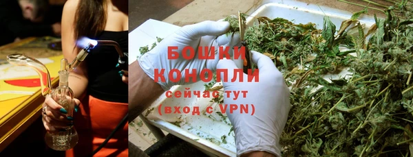 прущие крисы Верея