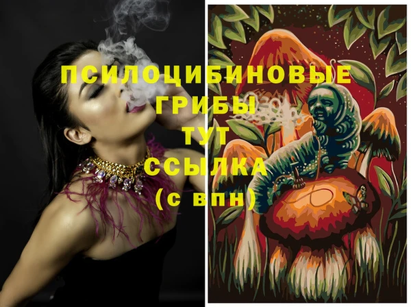 мдпв Верхнеуральск